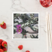 Challa Cactus in bloom Servet (Insitu)