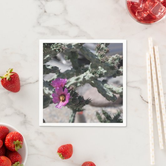 Challa Cactus in bloom Servet (Insitu)