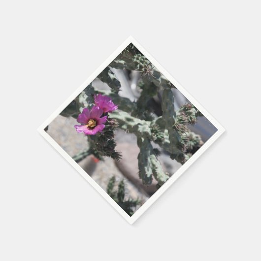 Challa Cactus in bloom Servet (Hoek)