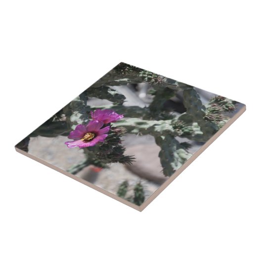 Challa Cactus in bloom Tegeltje (Zijkant)