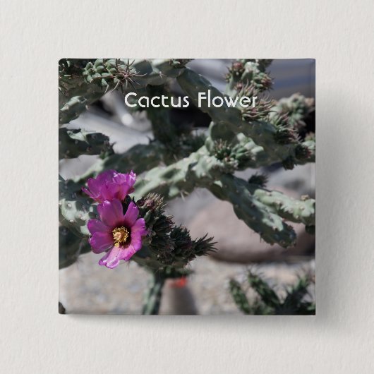 Challa Cactus in bloom Vierkante Button 5,1 Cm (Voorkant)