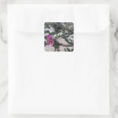 Challa Cactus in bloom Vierkante Sticker (Tas)