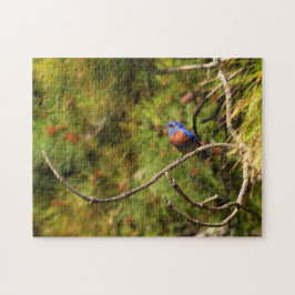 Challchallenge Bluebird Puzzle Legpuzzel