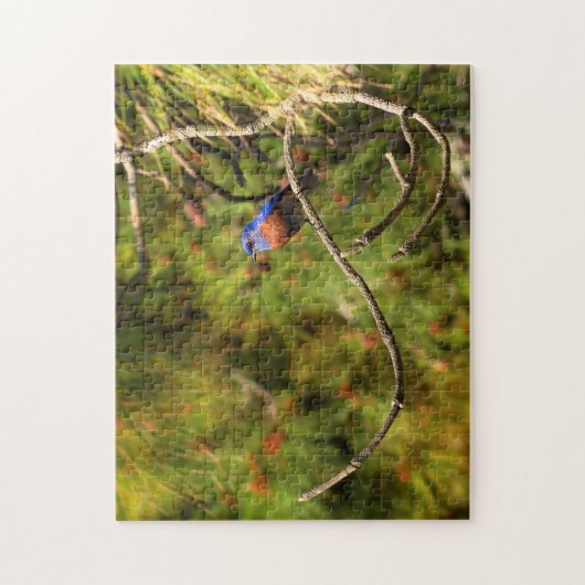 Challchallenge Bluebird Puzzle Legpuzzel (Verticaal)