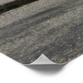 Challenger/Grand Tetons Poster (Hoek)