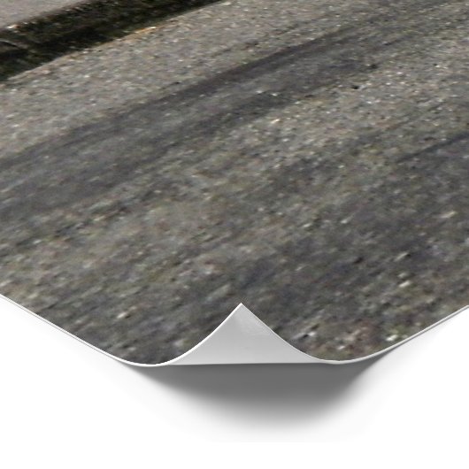 Challenger/Grand Tetons Poster (Hoek)