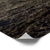 Challenger II Poster (Hoek)