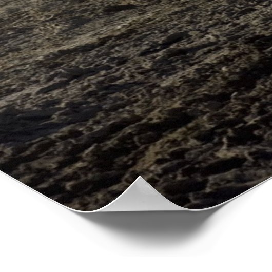 Challenger II Poster (Hoek)