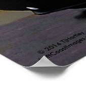 CHALLENGER R-T POSTER (Hoek)