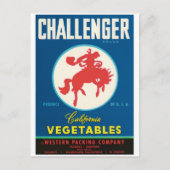 Challenger Rodeo Salinas El Centro Guadalupe CA Briefkaart (Voorkant)