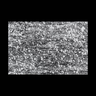 Challenging Black and White Legpuzzel