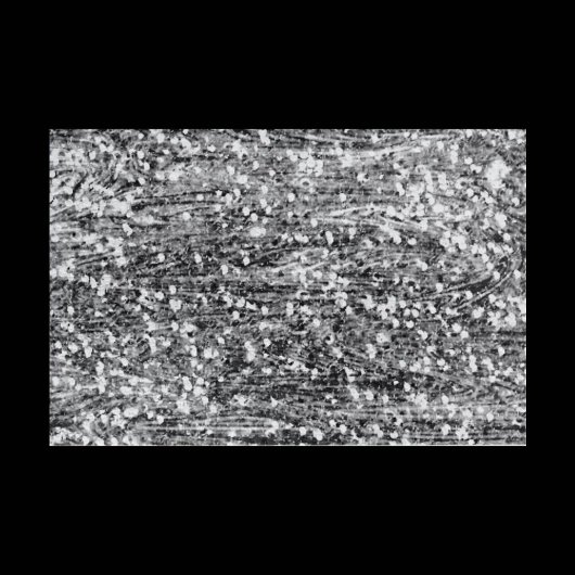 Challenging Black and White Legpuzzel