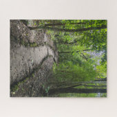 Challenging walk through Guatemalan rain forest Legpuzzel (Horizontaal)