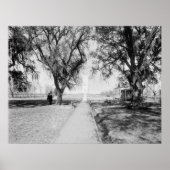 Chalmette Monument: 1900 Poster (Voorkant)