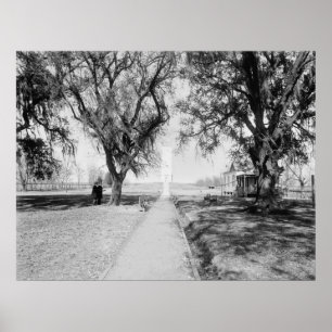 Chalmette Monument: 1900 Poster