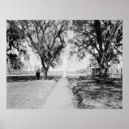 Chalmette Monument: 1900 Poster (Voorkant)