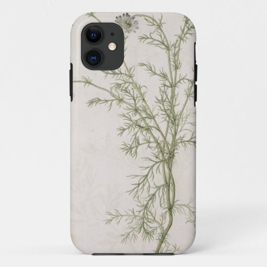 Chamaemelum nobile Allioni, c.1568 Case-Mate iPhone Case (Achterkant)