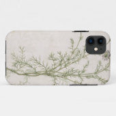 Chamaemelum nobile Allioni, c.1568 Case-Mate iPhone Case (Achterkant (horizontaal))