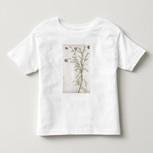 Chamaemelum nobile Allioni, c.1568 Kinder Shirts (Voorkant)