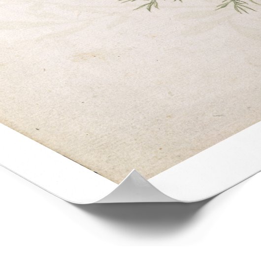 Chamaemelum nobile Allioni, c.1568 Poster (Hoek)