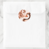 Chamalion Ronde Sticker (Tas)