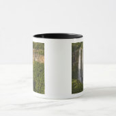 Chamarel Waterfall-most op Mauritius, over Mok (Midden)