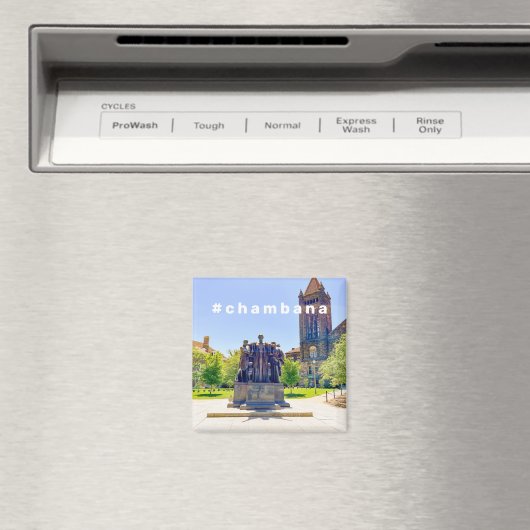 #Chambana Magnet (Insitu (Vaatwasser))