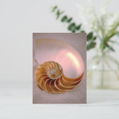 Chambered Nautilus Briefkaart (Staand voorkant)
