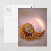 Chambered Nautilus Briefkaart (Voorkant / Achterkant)