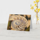 Chambered Nautilus Kaart (Gele Bloem)