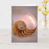 Chambered Nautilus Kaart (Gele Bloem)
