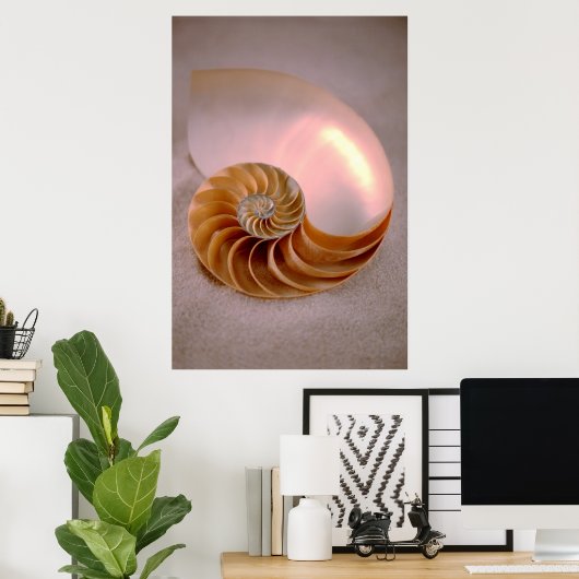 Chambered Nautilus Poster (Thuiskantoor)