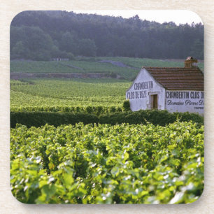 Chambertin Clos de Beze Grand Cru wijngaard met Onderzetter