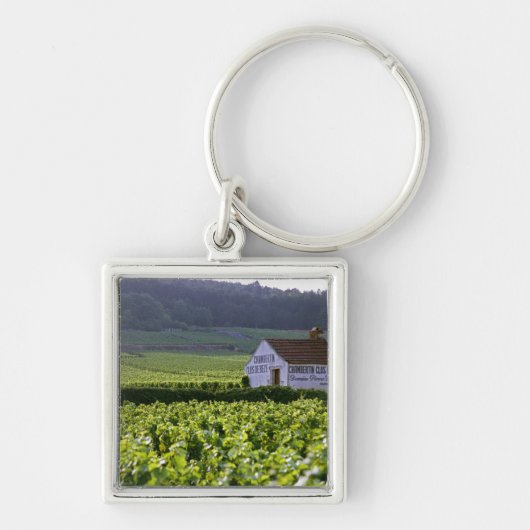 Chambertin Clos de Beze Grand Cru wijngaard met Sleutelhanger (Voorkant)