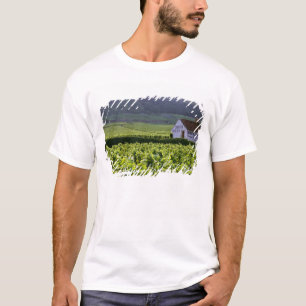 Chambertin Clos de Beze Grand Cru wijngaard met T-shirt