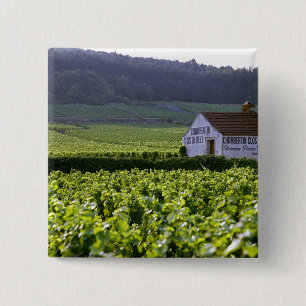 Chambertin Clos de Beze Grand Cru wijngaard met Vierkante Button 5,1 Cm