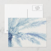 Chambray Palms II Briefkaart (Voorkant / Achterkant)