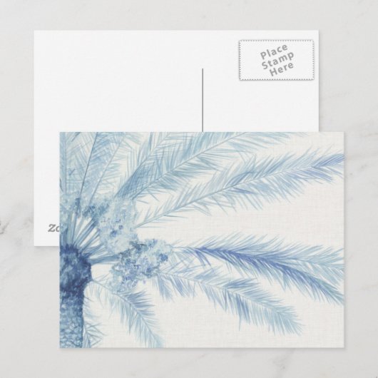 Chambray Palms II Briefkaart (Voorkant / Achterkant)