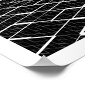 Chamelea Poster (Hoek)