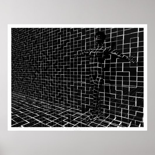 Chamelea Poster (Voorkant)