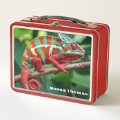 Chameleon (Voorkant)