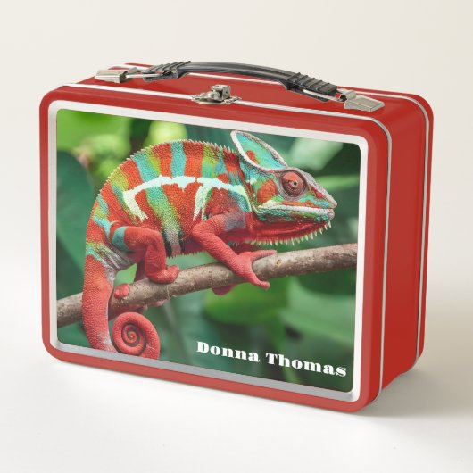 Chameleon (Voorkant)