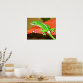 Chameleon 1 poster (Keuken)
