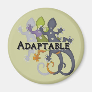 Chameleon Adaptable Magneet