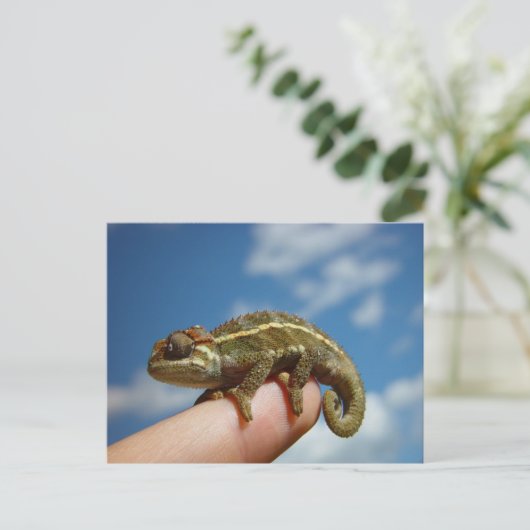 Chameleon Briefkaart (Staand voorkant)