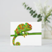 Chameleon Briefkaart (Staand voorkant)