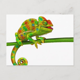 Chameleon Briefkaart