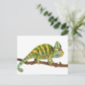 Chameleon Briefkaart (Staand voorkant)