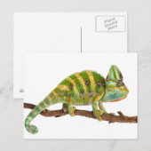 Chameleon Briefkaart (Voorkant / Achterkant)