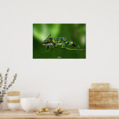 Chameleon by Johannes Stötter Poster (Keuken)